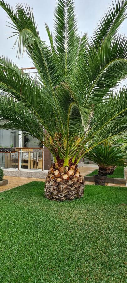 Villa Avdira Paralia Avdhiron エクステリア 写真