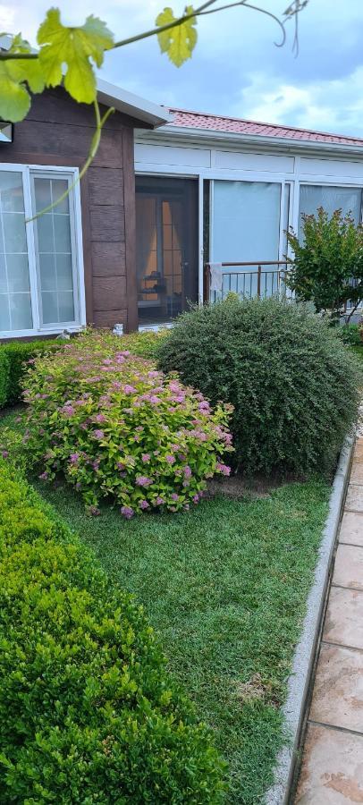 Villa Avdira Paralia Avdhiron エクステリア 写真