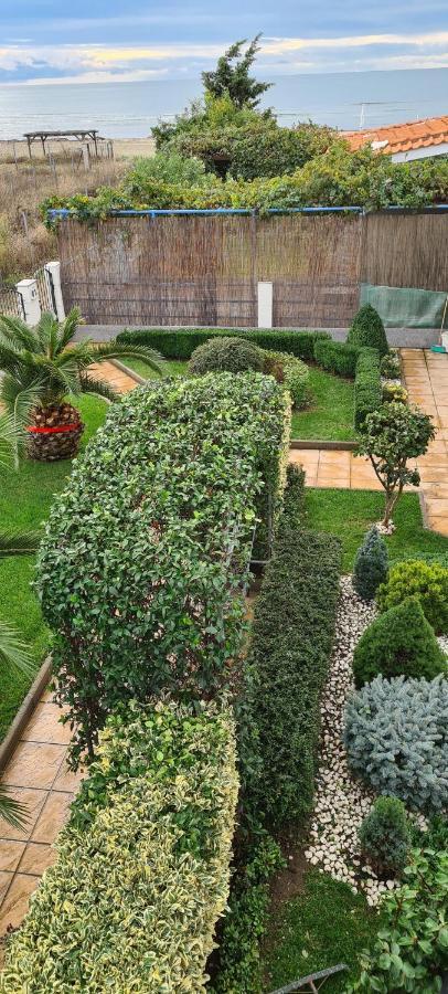 Villa Avdira Paralia Avdhiron エクステリア 写真